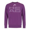 Head Rally Sweatshirt Men -Wilson Tennis Apparels Sales 08100000 000